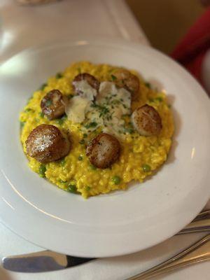 Risotto with scallops