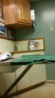 Cat exam room