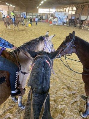 Our horses for the day, raya, dusty, and ditto!