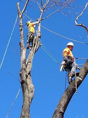 Double climbing getting it done