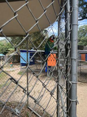 Uncle Sandy's Macaw Bird Park