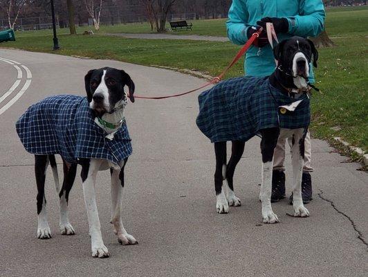 A cold February day walk