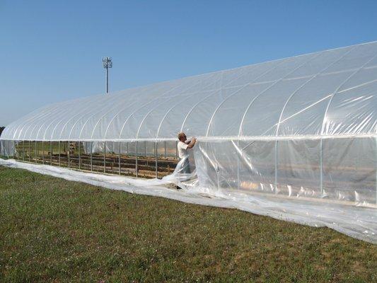 Pulling plastic on a new hoophouse