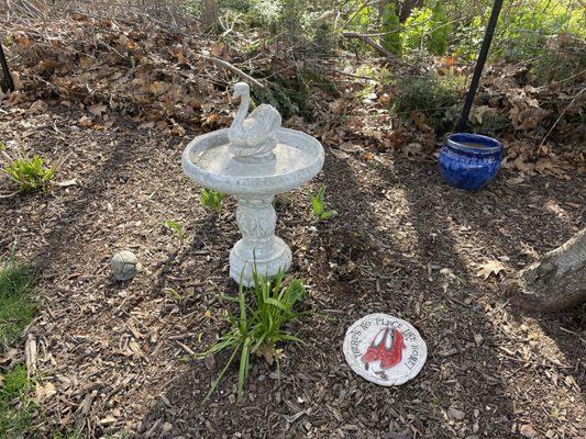 My beautiful bird bath and swan!