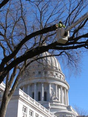 Boley Tree & Landscape Care Inc