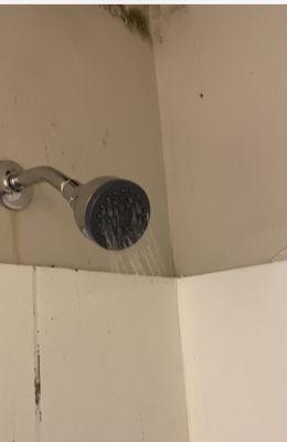 Low water pressure and mold