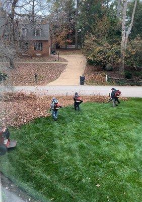 Fall Leaf Removal