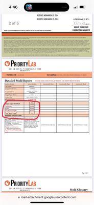 Mold report