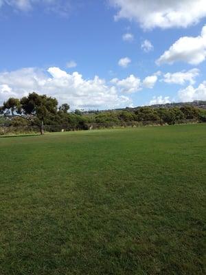 Gorgeous day for bball at the park