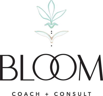 Bloom Coach + Consult, Family Law Mediation and Legal Services