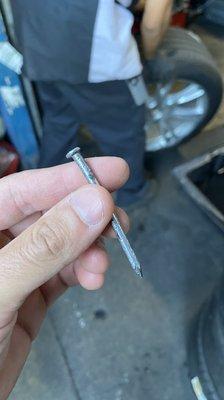 3 inch nail inside the rear inner shoulder for tire patch