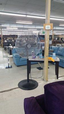 Blow Fans needed to cool the store!