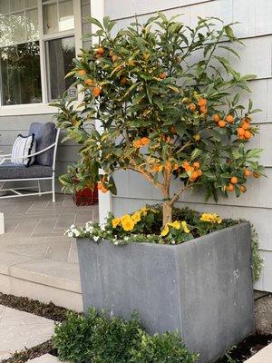 Planter square box