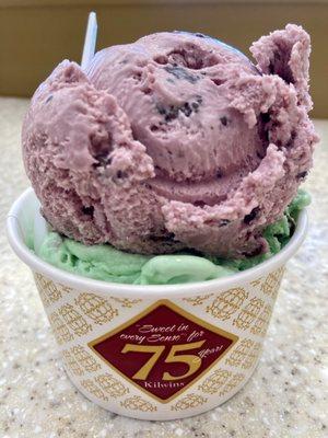 Blueberry Waffle Cone flavor over Pistachio flavor ice cream