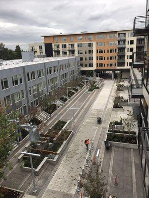 Such a peaceful courtyard. I love the openness and big planters they have! They said it's called a woonerf