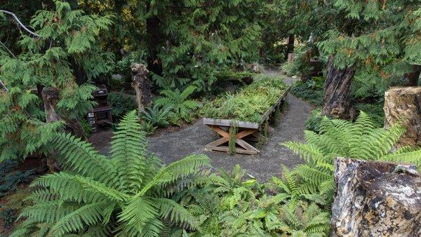 Fern Table