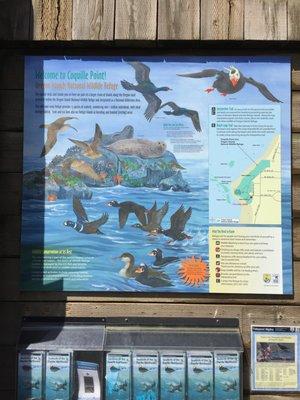 Educational info boards. Be on the lookout for local wildlife!