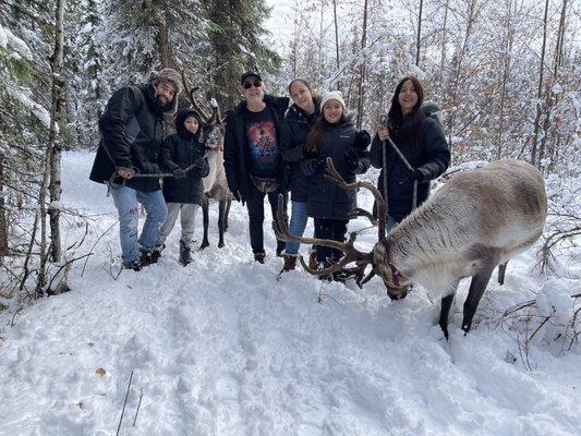 On the reindeer walk