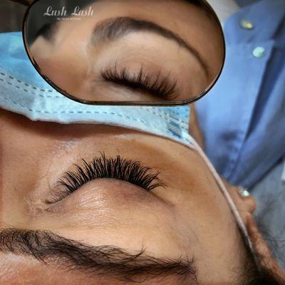 Lush Lash Studio