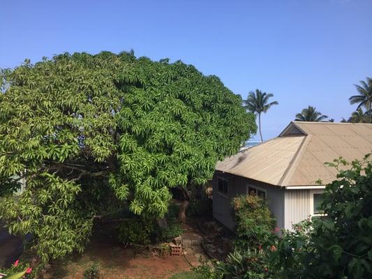 View from room 8. You can see the ocean and you can hear the waves all night