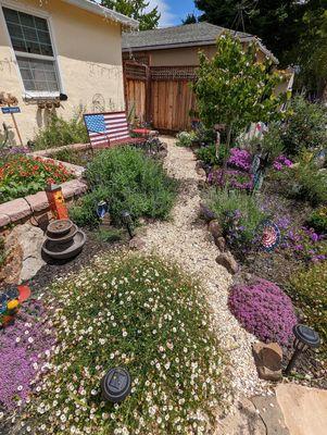 Walt used rocks from an old fountain in my backyard to line the gravel path. Brilliant!