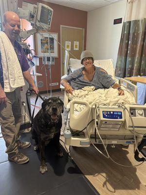 Therapy Dog Visit