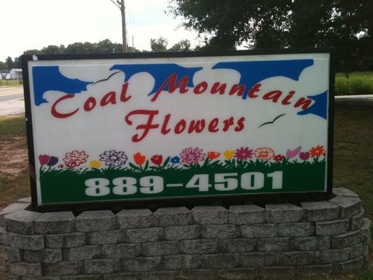 Coal Mountain Flowers