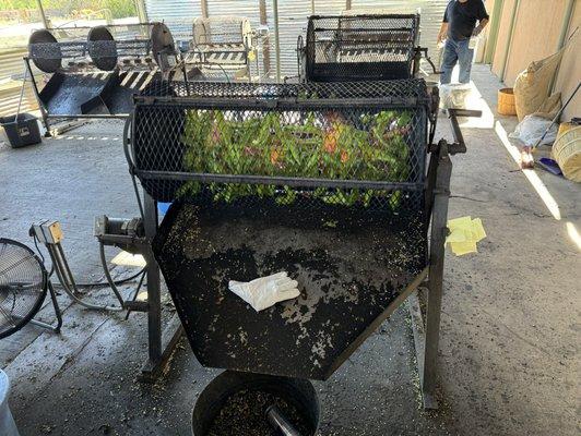 Green chile being roasted.