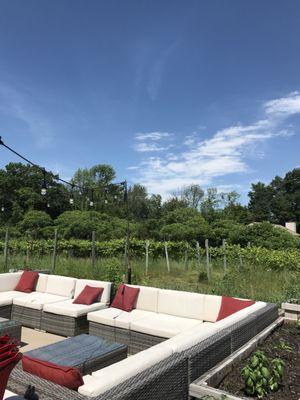 Perfect breezy patio among the vines, available for private events too!