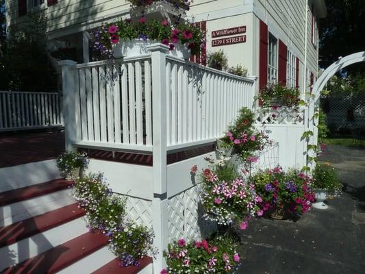 Summer flowers.