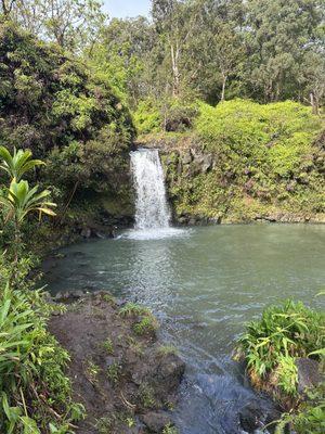 Maui Fantastic Tours