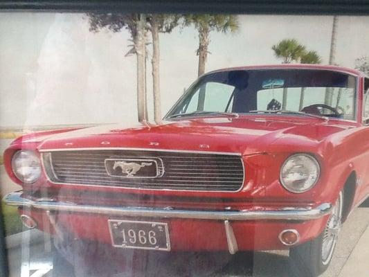 1966 Mustang