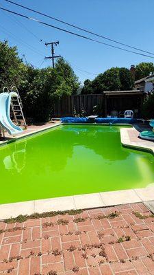 Before picture of our pool.