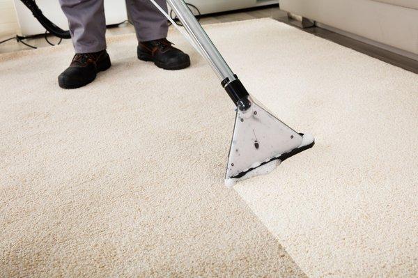 Complete Carpet Cleaning Services