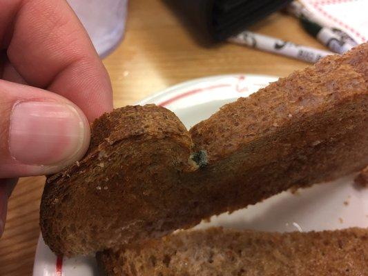 Moldy toast..ewww