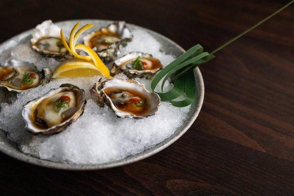 Kumomoto oysters