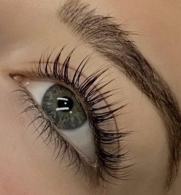 Classic Lashes