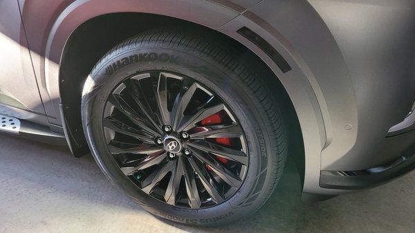 Factory rims gloss black powder coat with calipers painted red