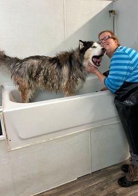 Oh the drama!  Their staff was so kind and never asked him to lower his volume. He was singing and howling for most of the hour.