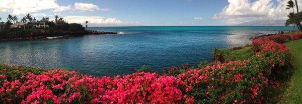 The beautiful view of Honokeana Bay from our property!  Amazing!