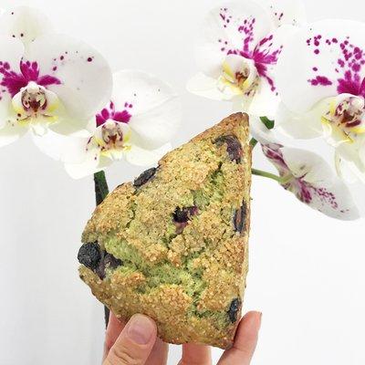 Vegan Blueberry Matcha Lemon scone