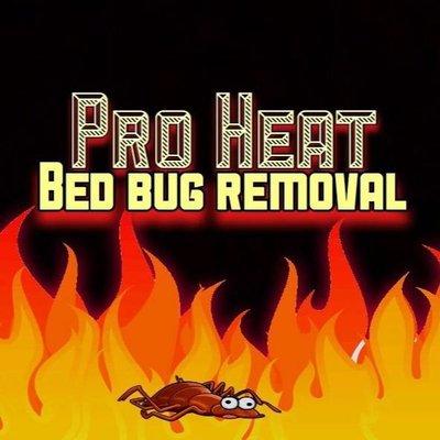 Pro Heat Bed Bug Removal