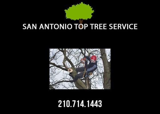 Tree Trimming Arborist