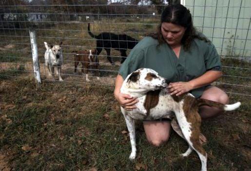 Some adoptable pets have special needs.