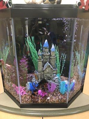 The very beloved fish tank! The little ones love watching the fishies.