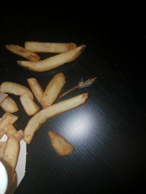 Yes. That is a cooked feather in my side order of fries.