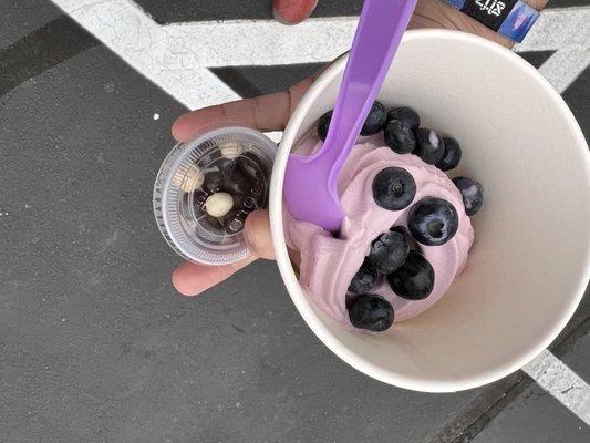 Mountain berry topped with fresh blueberries and a side of chocolate covered coffee beans