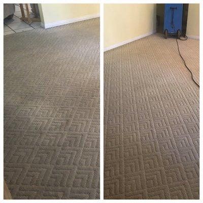 Mastercare complete carpet cleaning on the left. My job on the right after having to redo it cause they did a crappy job.