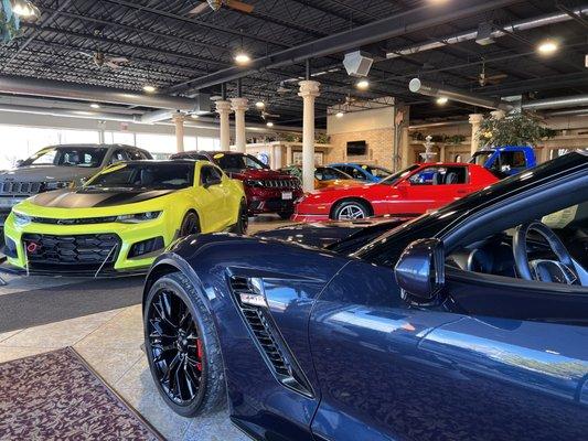 Auto Showcase of Carol Stream