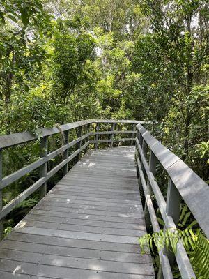 Boardwalk